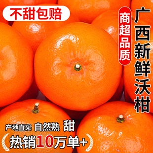 正宗广西新鲜沃柑橘子新鲜水果年货礼盒现摘斤沙糖蜜橘砂糖大果10