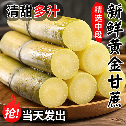 【现砍现发】云南新鲜黄金甘蔗
