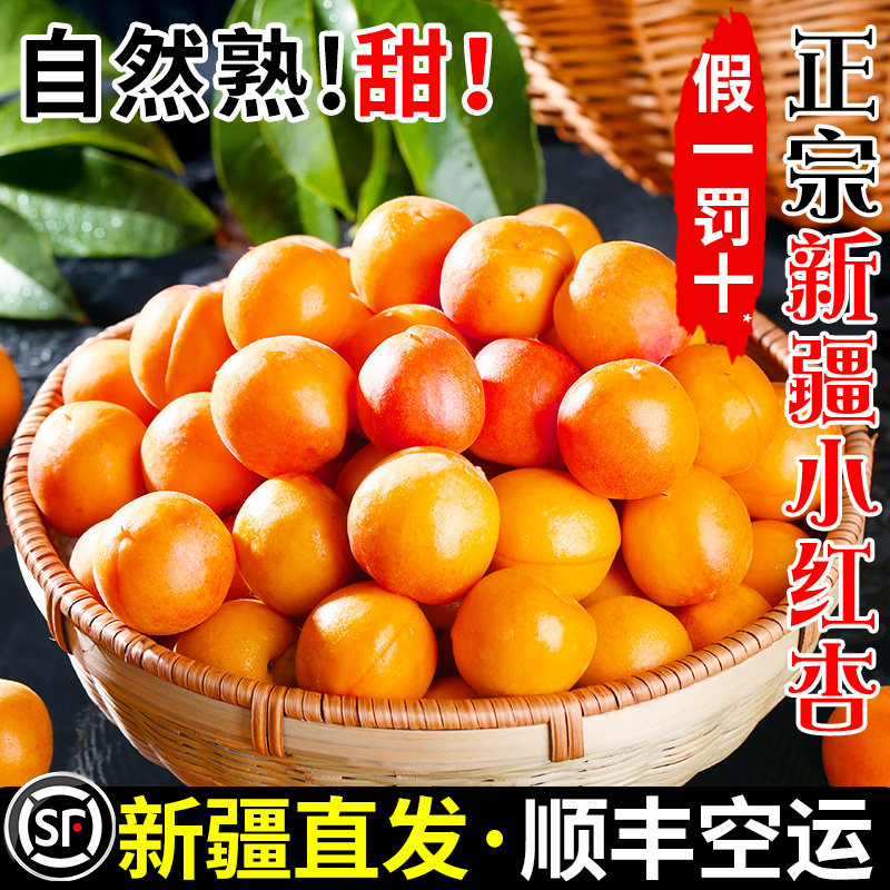 正宗新疆小红杏新鲜水果新疆直发杏子阿克苏吊干杏当季整箱4斤甜