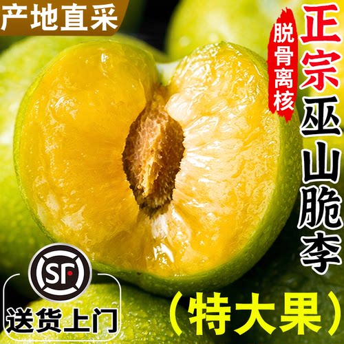 巫山脆李丨脆甜脱骨丨顺丰送上门