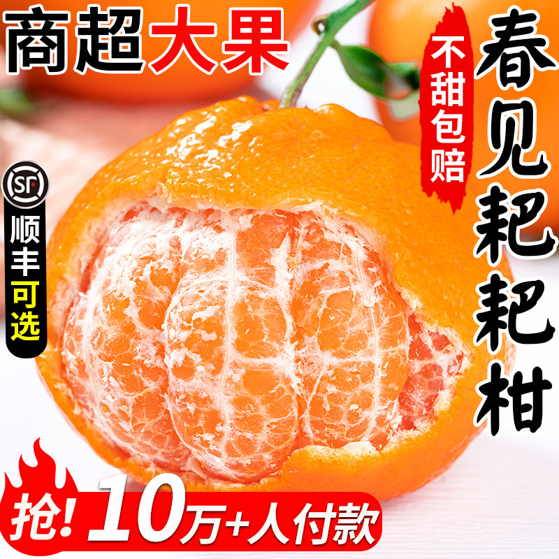 四川春见耙耙柑新鲜水果当季整箱正宗粑粑柑杷杷柑丑桔橘子旗舰店