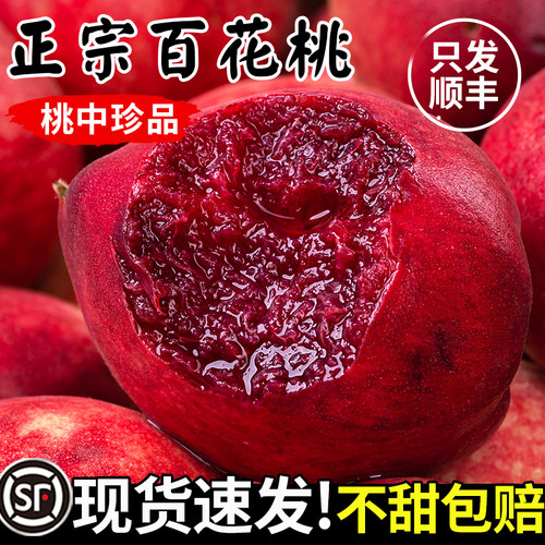 现摘速发当季头茬百花血桃
