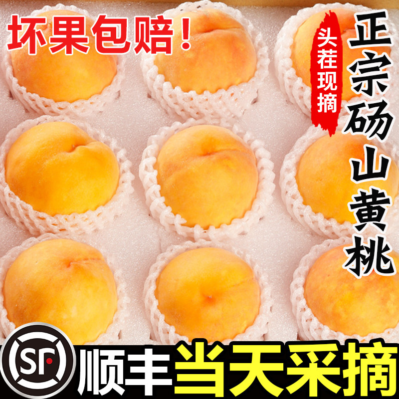 正宗砀山黄桃新鲜水果当季现摘桃子露天蜜桃黄肉毛锦绣大果斤整箱