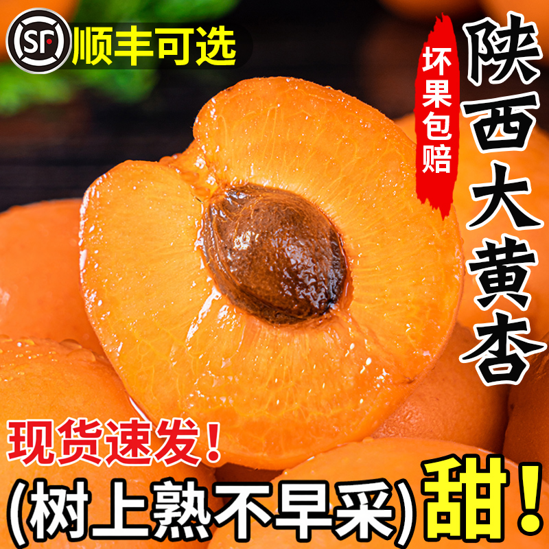 杏子现摘陕西大黄杏现货水果新鲜整箱时令酸甜杏斤凯特孕妇10