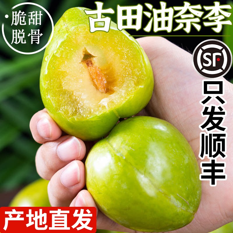正宗古田油奈李顺丰速发