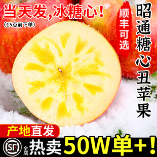 云南昭通市丑苹果冰糖心红露新鲜水果当季 脆甜红富士圣诞平安果