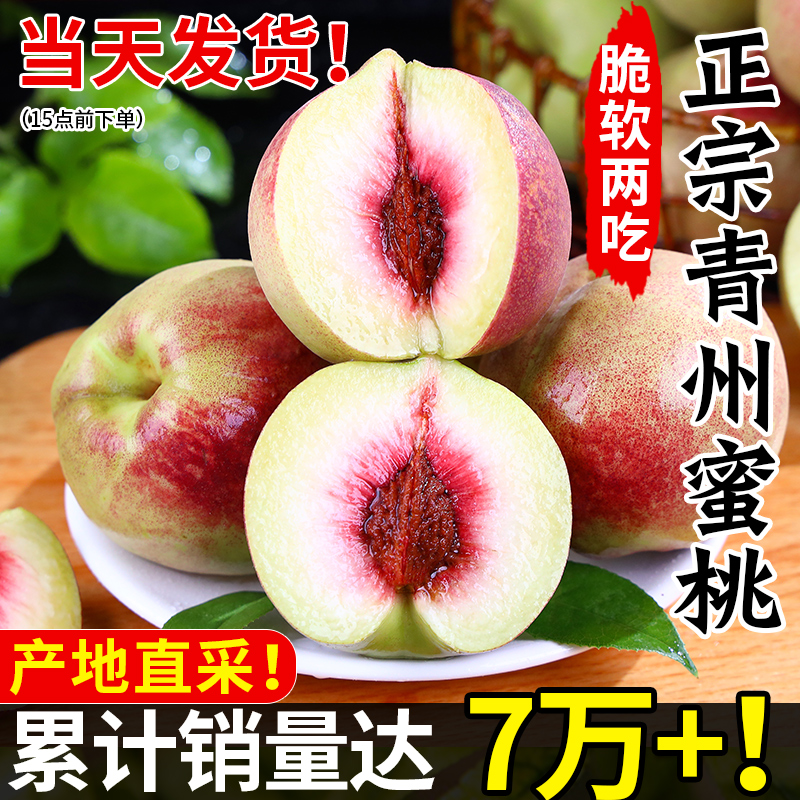 【产地直发】正宗青州蜜桃