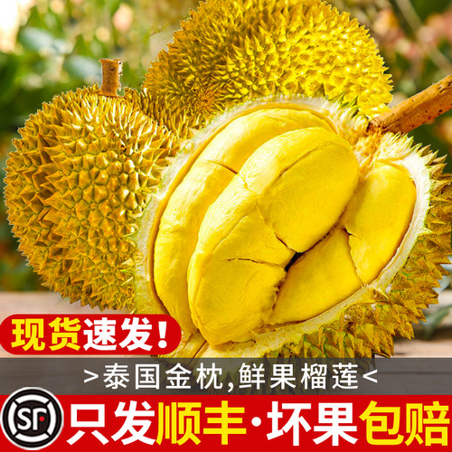 顺丰包邮·金枕榴莲A果·包甜