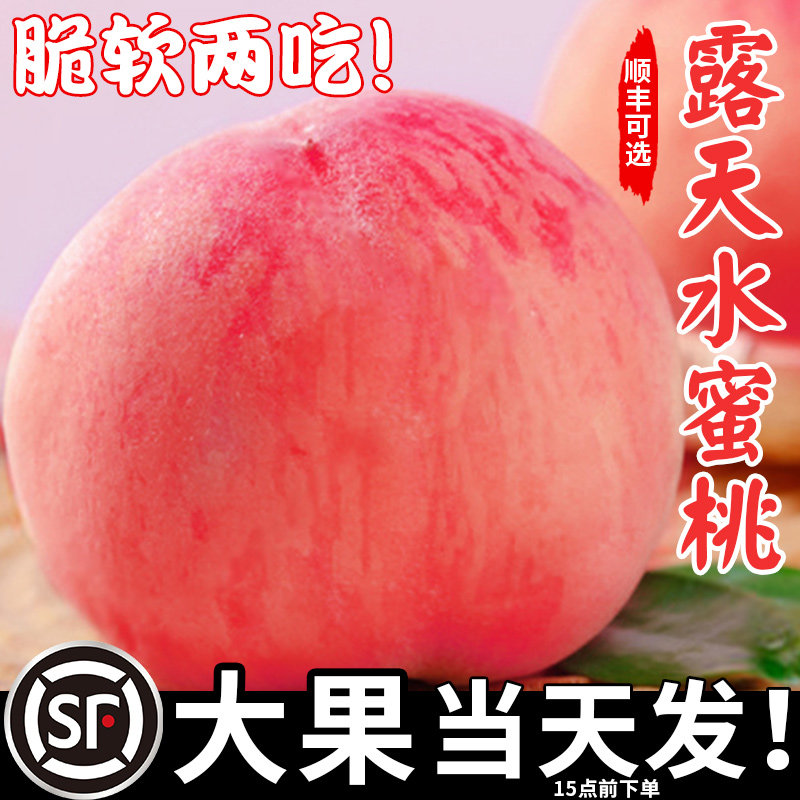 现货新鲜水蜜桃露天当季现摘大水果软油春雪毛桃子脆甜整箱时令