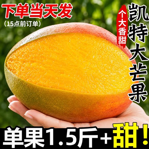 【热卖推荐】凯特芒香甜多汁