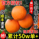 顺丰正宗赣南脐橙18斤橙子新鲜水果应季 整箱江西赣州产地直发官方