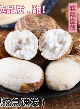 云南牛奶芋头小香芋5斤新鲜毛芋头现挖农家自种奶油芋艿软糯蔬菜