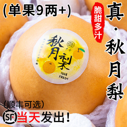 【送礼推荐】正宗秋月梨礼盒装