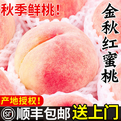 金秋红蜜桃现摘鲜桃顺丰包邮