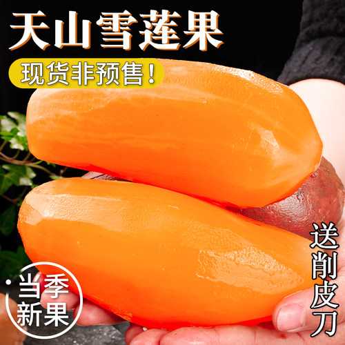 当季新鲜产地直发天山雪莲果