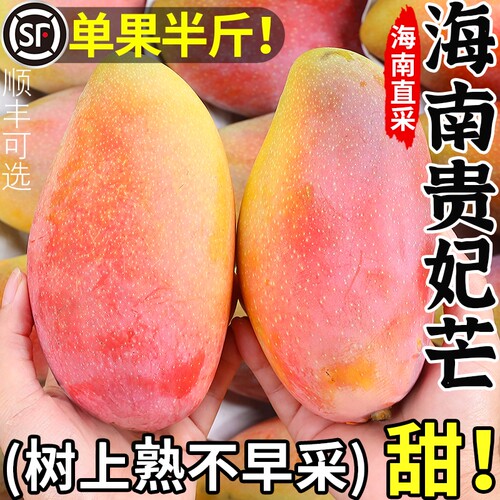 海南贵妃芒丨树上自然熟
