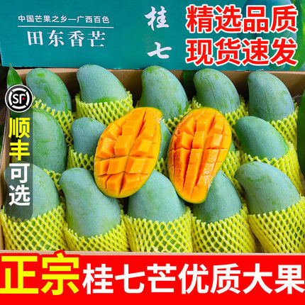 正宗桂七芒果广西百色新鲜水果大果10斤当季现摘整箱批发青皮甜心