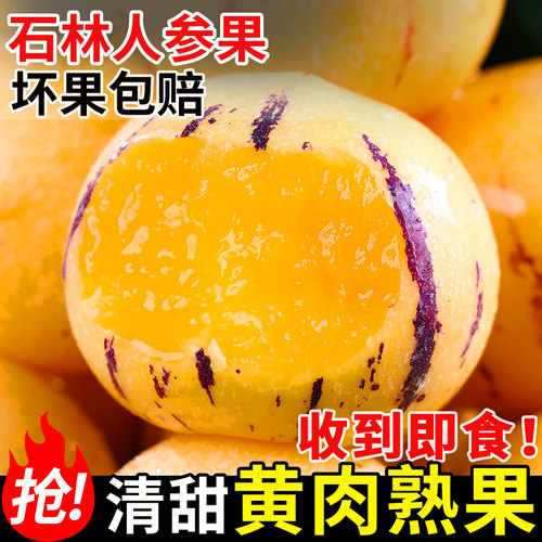 云南石林人参果黄肉圆果