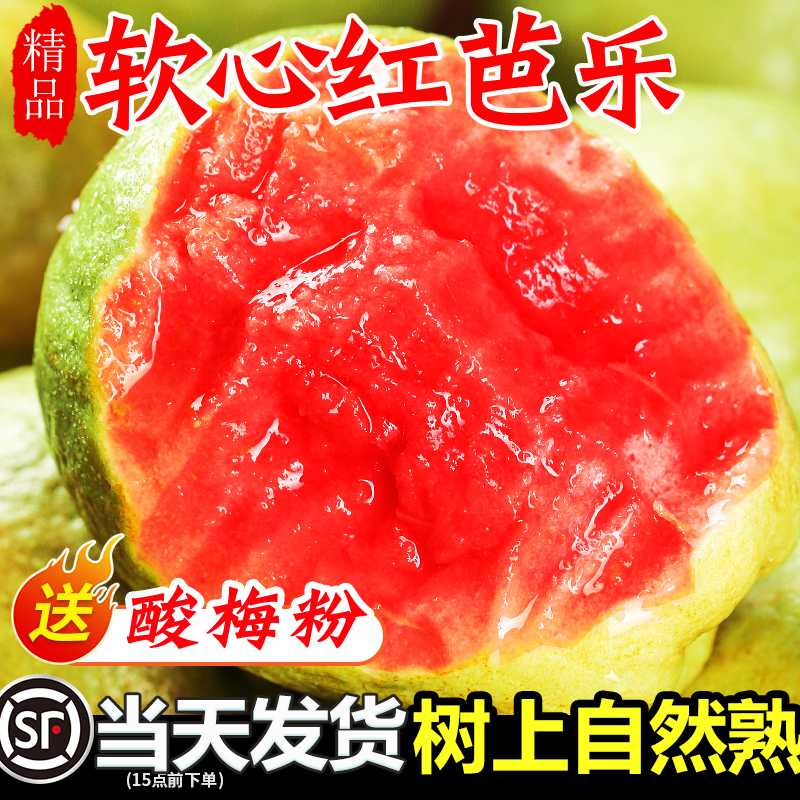 【红心芭乐】产地直发,品质保障