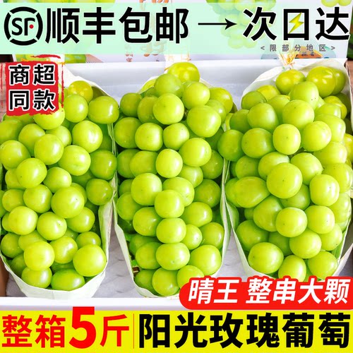 阳光玫瑰葡萄顺丰包邮热销爆款