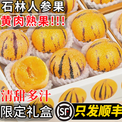 5斤云南石林人参果礼盒黄肉圆果