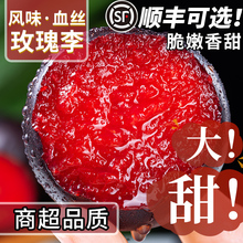 玫瑰血丝李5斤新鲜红肉红心李子应当季水果整箱黑布林恐龙蛋三华