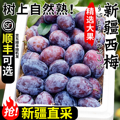 【顺丰可选】正宗新疆西梅超甜！