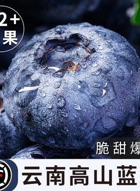 云南蓝莓鲜果特大当季高山L25花香新鲜水果孕妇怡颗蓝梅整箱高端