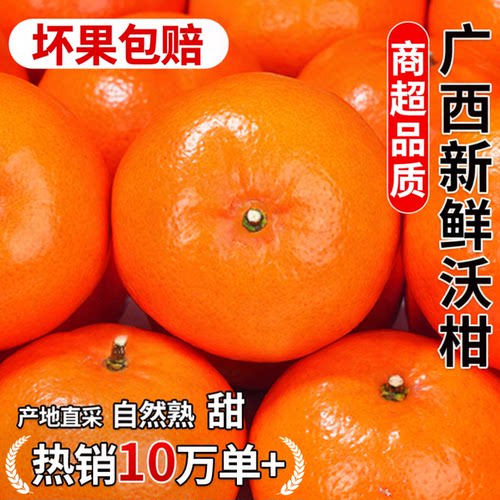 【官方推荐】广西沃柑|现摘|包甜