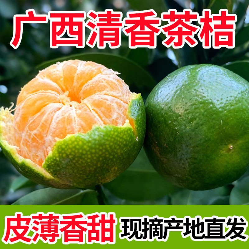 正宗广西清香茶橘蜜橘纯甜无酸