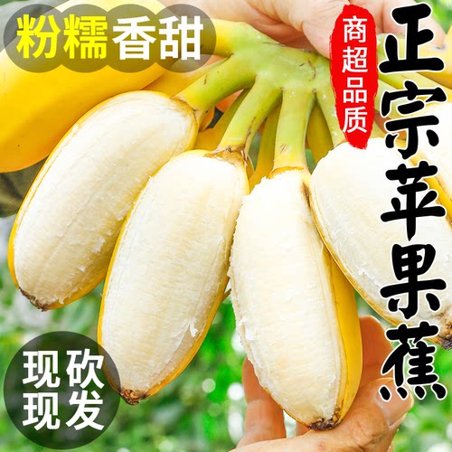 【商超品质】正宗新鲜广西苹果蕉