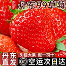 丹东99草莓顺丰空运东港大九九牛奶奶油正宗红颜草莓水果当季 礼盒