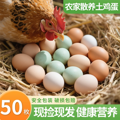 【热卖推荐】农家散养土鸡蛋50枚