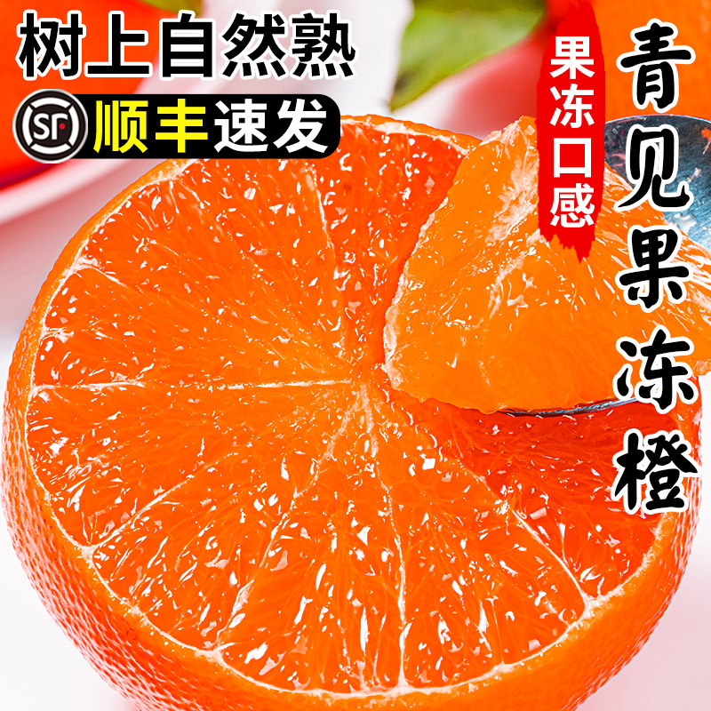 四川青见果冻橙10水果新鲜当季整箱斤榨汁特产手剥柑橙子大果顺丰
