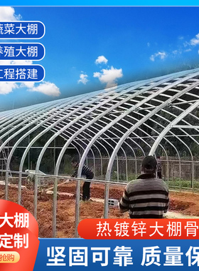大棚钢管骨架玻璃连栋温室蔬菜种养殖大棚全套热镀锌椭圆牛羊猪舍