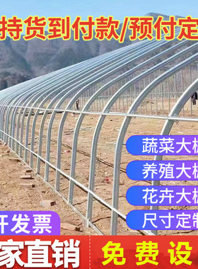 大棚骨架钢管全套蔬菜种植养殖猪牛鸡椭圆管半坡暖棚保温钢架连栋