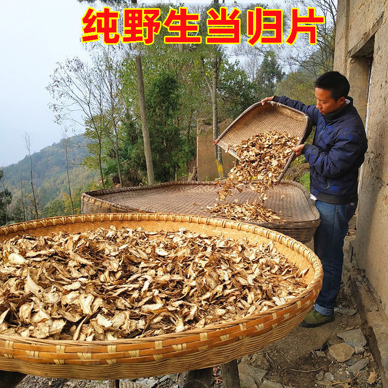 纯野生当归片500g  全当归片 可打当归粉 中药材当归中药材正品 传统滋补营养品 其他药食同源食品 原图主图