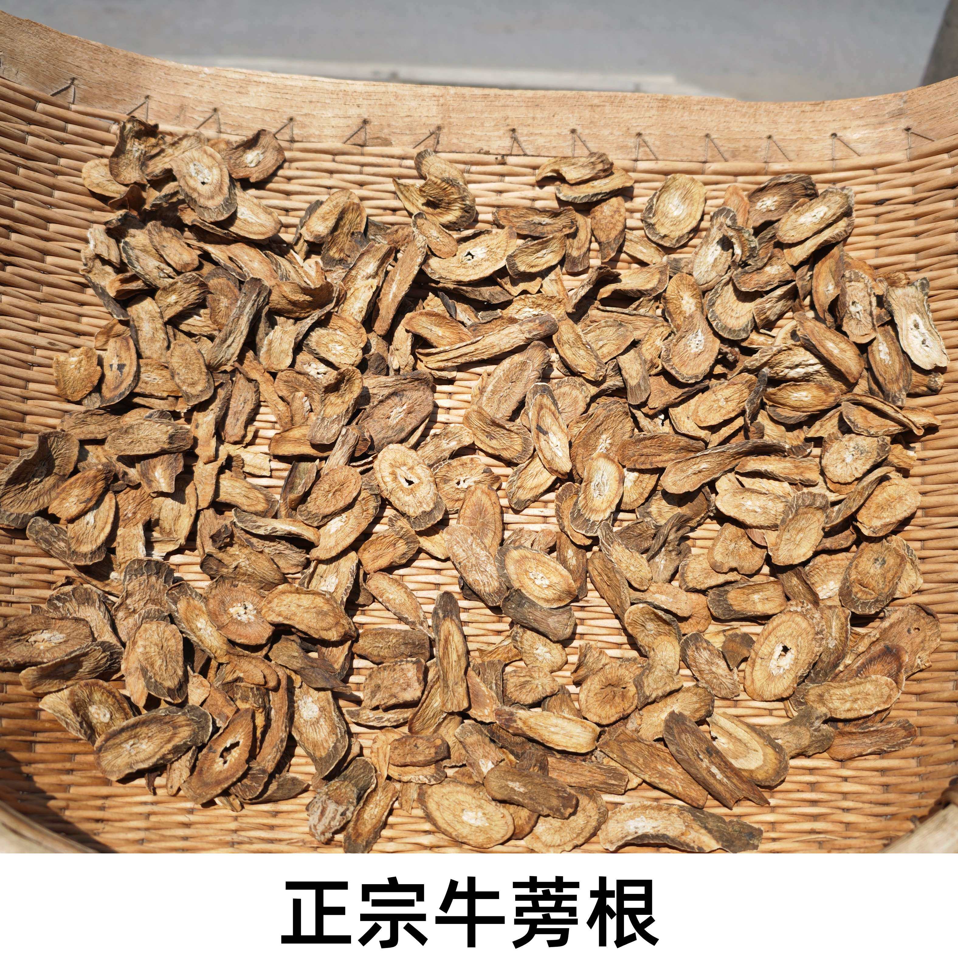 野生牛蒡根片 牛蒡根中药材 蒲公英牛蒡根茶 牛蒡根野生牛蒡根粉