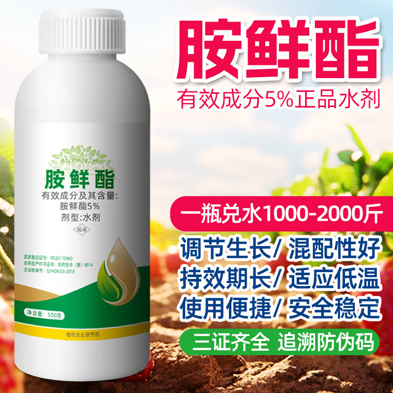 5%胺鲜酯水剂叶面肥正品农用da-6农药植物生长调节剂大包装胺鲜脂