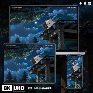 月夜屋顶黑白猫咪8K超清壁纸iphone苹果安卓手机电脑ipad平板壁纸