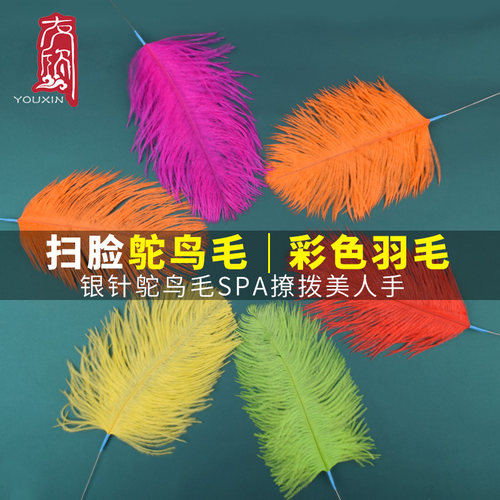 鸵鸟毛孔雀专业采耳工具