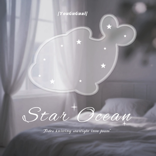 有谷怪 ins亚克力磨砂托盘谷子吧唧小卡摆拍道具透明置物展示架