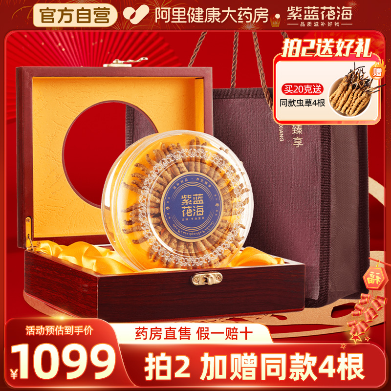 紫蓝花海冬虫夏草正品干货头期虫草礼盒滋补送礼佳品