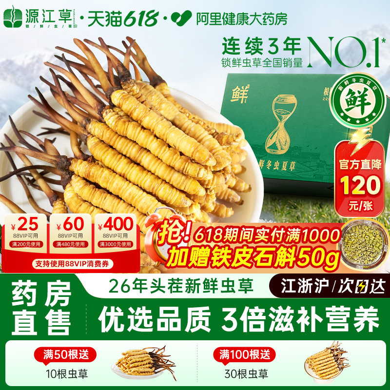源江草2026年头茬新鲜冬虫夏草官方旗舰店鲜虫草送父母长辈礼盒装