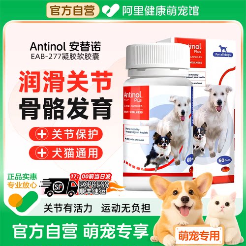 安替诺Antinol277髌骨脱位软骨素猫狗宠物关节强炎腰椎骨刺安它诺