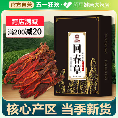 回春草云南野生新鲜泡酒薬材