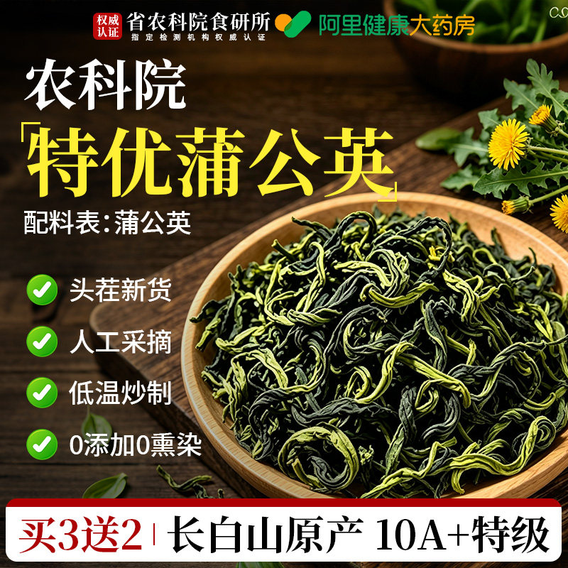 【特级蒲公英】长白山原产图片