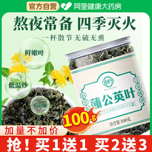 蒲公英茶中新鲜野生散茶不浦公英叶根结药材养生茶散结花茶官方