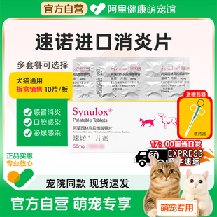 速诺阿莫西林克拉维酸钾消炎片感冒药猫鼻支咳嗽猫咪狗狗泌尿感染