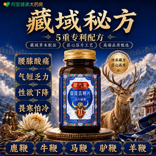 藏九宝五鞭片补活力肾腰膝中男年